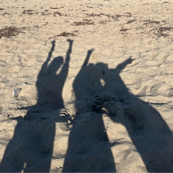 Meet your Posher, Ashlynn - Picture 1 of 1